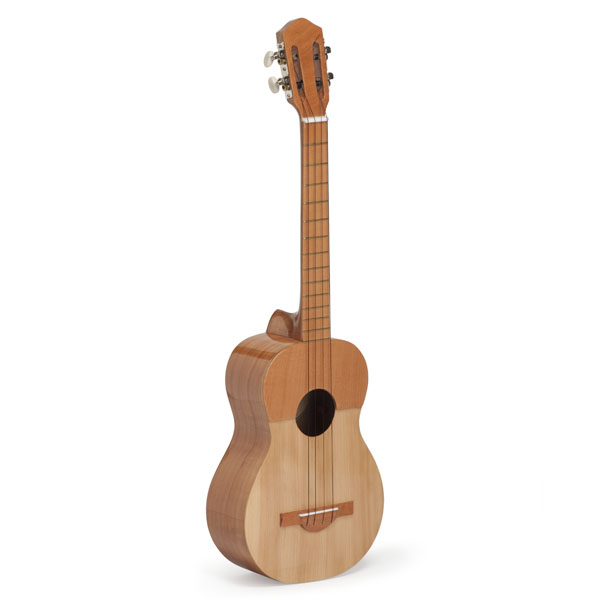 instrument de musique joué dans le spectacle jeune public, les 7 flèches de l'arc-en-ciel, le cuatro