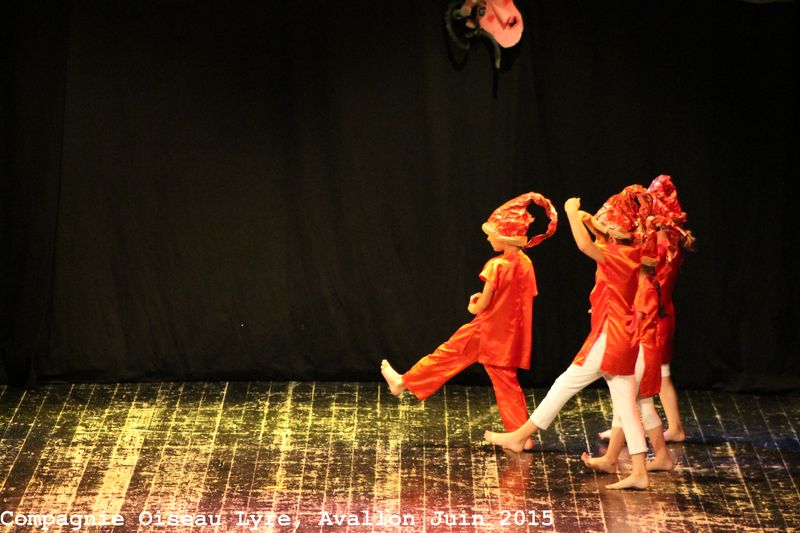 Oiseau Lyre, spectacle tu rêve Eve, Avallon