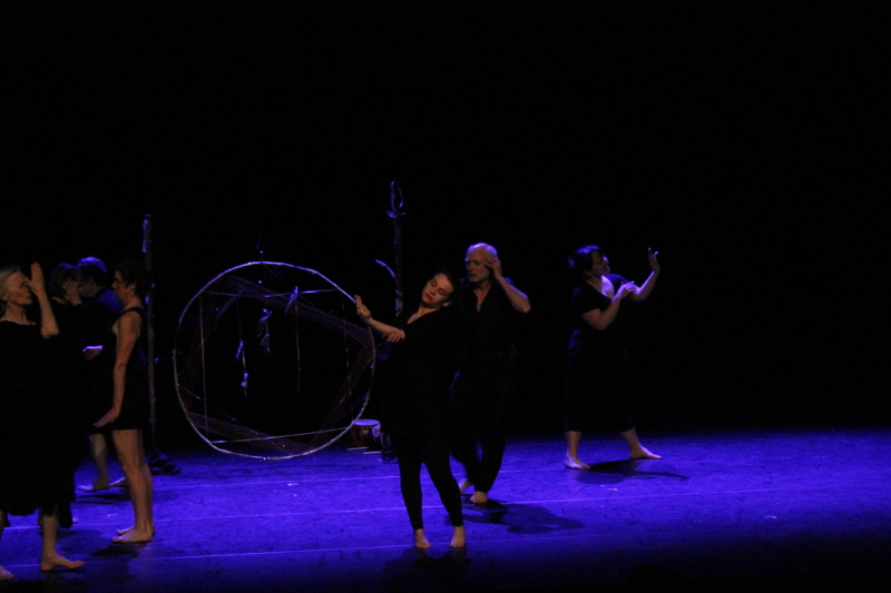 Photographie spectacle l'attrape rêve compagnie oiseau lyre